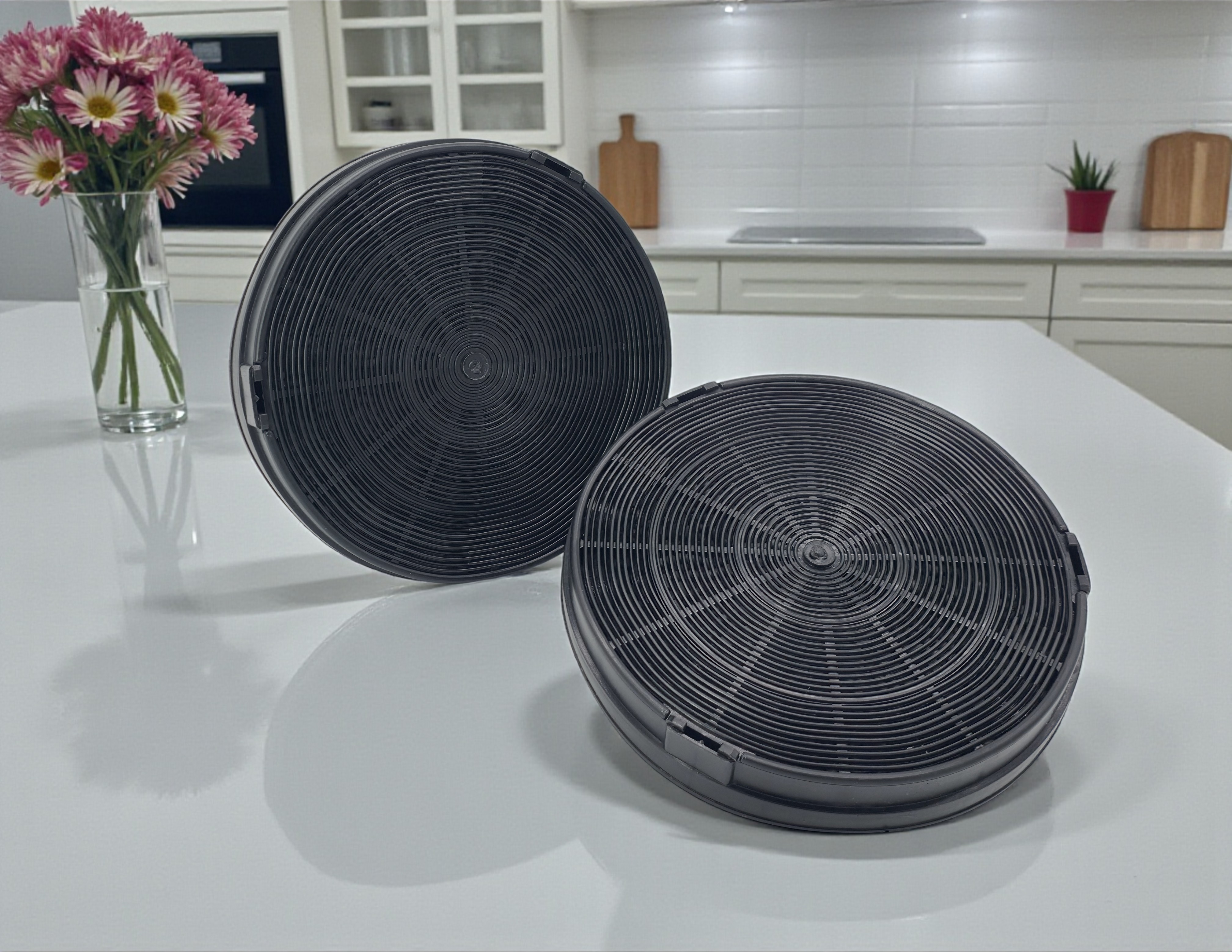 WPRO F196/FAC529 Dunstabzugshauben-Ersatzfilter / Aktivkohle - 2er Set