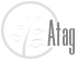 Atag