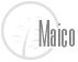 Maico